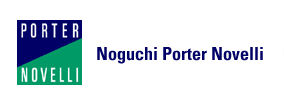 Noguchi Porter Novelli